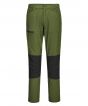 Olive Green Colour Sample