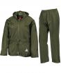 Olive Colour Sample