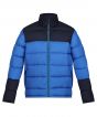 Strong Blue/Navy Colour Sample