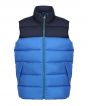 Strong Blue/Navy Colour Sample