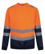 Orange Colour Sample
