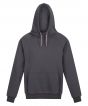 Seal Grey Colour Sample