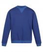 New Royal Colour Sample