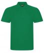 Kelly Green Colour Sample