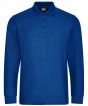 Royal Blue Colour Sample
