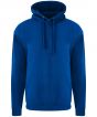 Royal Blue Colour Sample