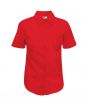 Red Colour Sample