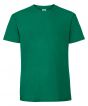 College Green Colour Sample