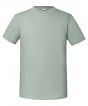 Sage Colour Sample