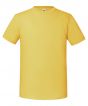 Sunflower Colour Sample