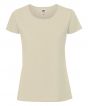 Desert Sand Colour Sample