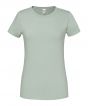 Sage Colour Sample
