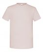 Powder Rose Colour Sample