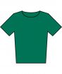 College Green Colour Sample
