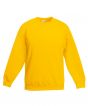 Sunflower Colour Sample