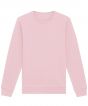 Cotton Pink Colour Sample