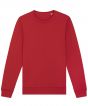 Red Colour Sample