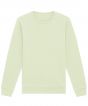 Stem Green Colour Sample