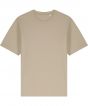 Desert Dust Colour Sample