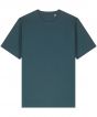 Stargazer Colour Sample