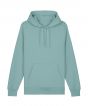 Teal Monstera Colour Sample