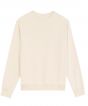 Natural Raw Colour Sample
