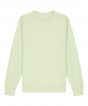 Stem Green Colour Sample