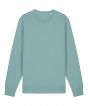 Teal Monstera Colour Sample