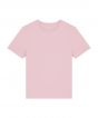 Cotton Pink Colour Sample
