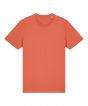 Fiesta Colour Sample