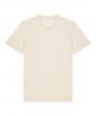 Natural Raw Colour Sample