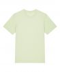Stem Green Colour Sample