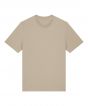 Desert Dust Colour Sample