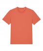Fiesta Colour Sample