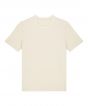 Natural Raw Colour Sample