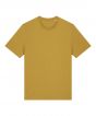 Ochre Colour Sample