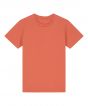 Fiesta Colour Sample