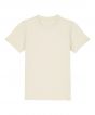 Natural Raw Colour Sample
