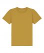 Ochre Colour Sample