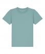 Teal Monstera Colour Sample