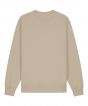 Desert Dust Colour Sample