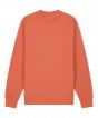 Fiesta Colour Sample