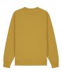 Ochre Colour Sample