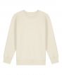Natural Raw Colour Sample