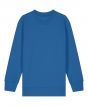 Royal Blue Colour Sample