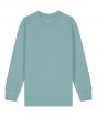 Teal Monstera Colour Sample