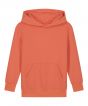 Fiesta Colour Sample