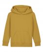 Ochre Colour Sample
