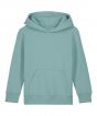 Teal Monstera Colour Sample