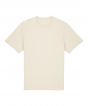 Natural Raw Colour Sample